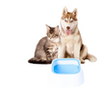 Bebedero Para Perros y Gatos Sin Derrame